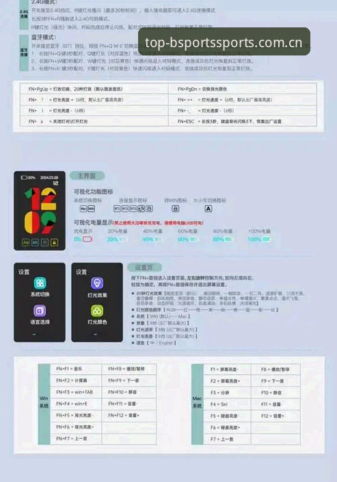 最新BSports官网功能详解：突破性升级与专属服务指南