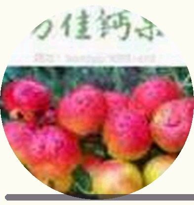 赵哥